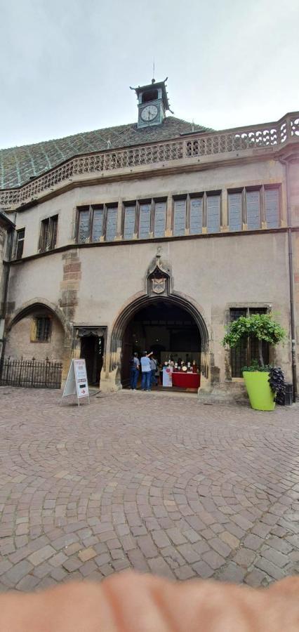 Apartamento Evasion St Joseph Odysalis - Lit King Size - Parking - Proche Centre Colmar Exterior foto